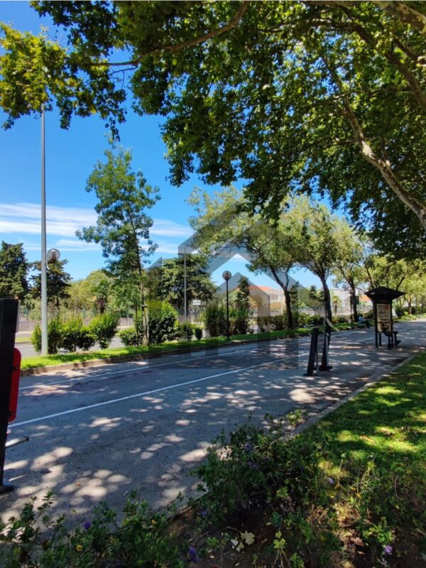 Atelier Amadora_3-min-min Atelier Amadora_3-min-min