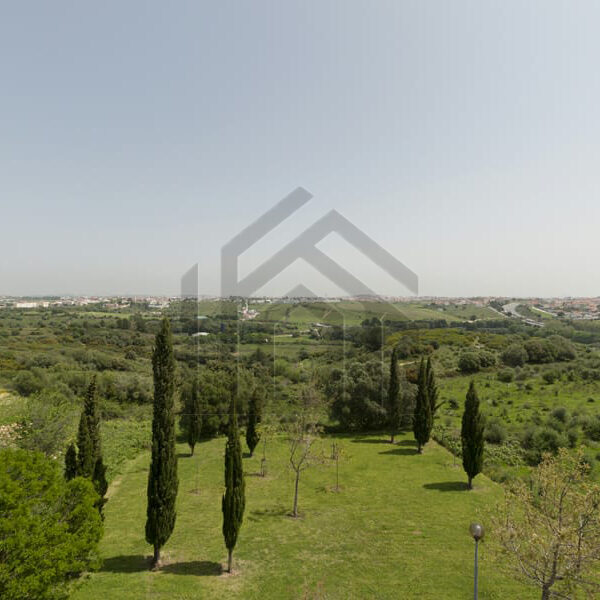 BC (7)-min BC (7)-min