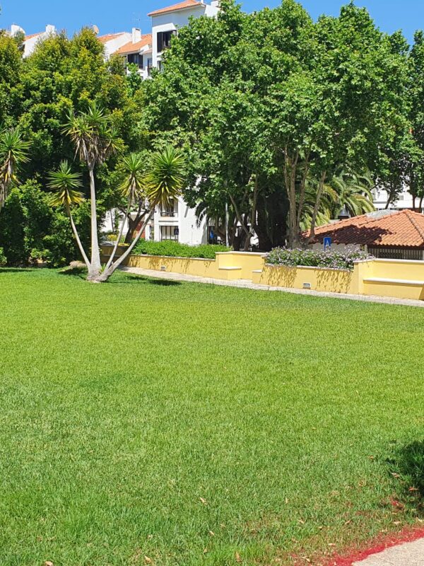 Estoril (12)-min Estoril (12)-min