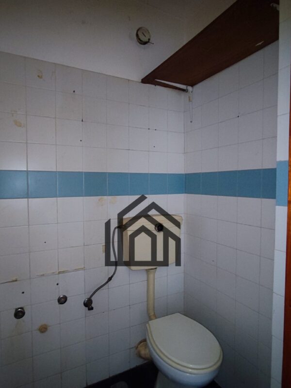 PracUmeiras (11) PracUmeiras (11)