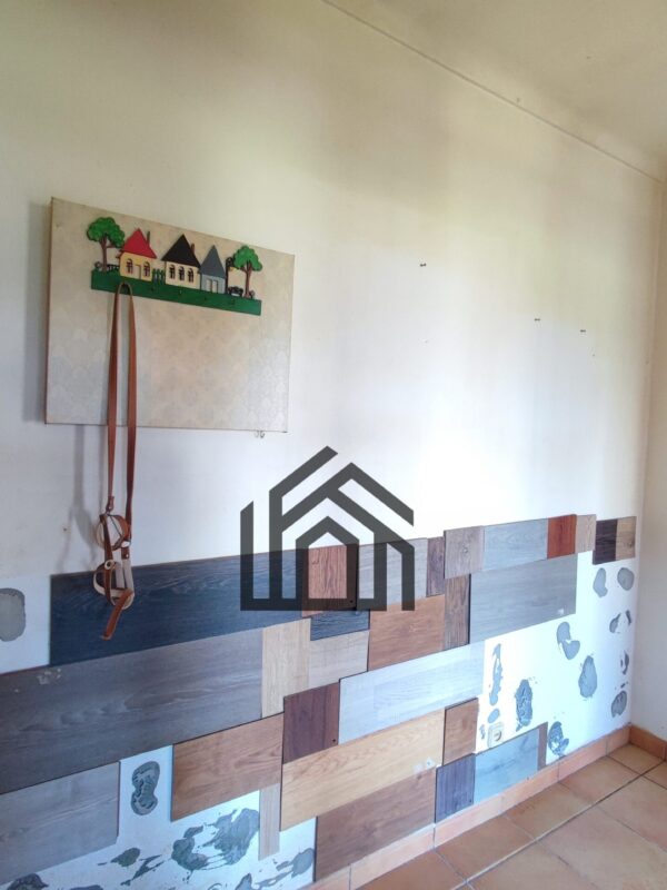 PracUmeiras (27) PracUmeiras (27)