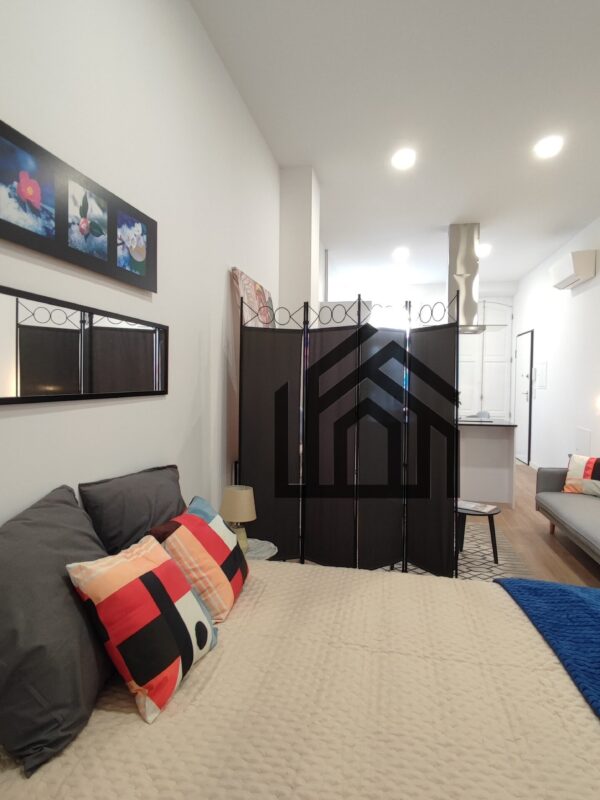 SVicente (14) SVicente (14)