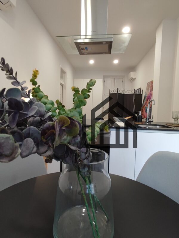 SVicente (2) SVicente (2)