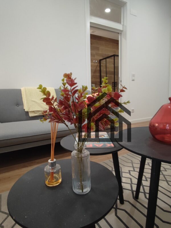 SVicente (4) SVicente (4)