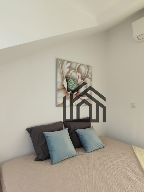 SaoVicente_T2 (13) SaoVicente_T2 (13)