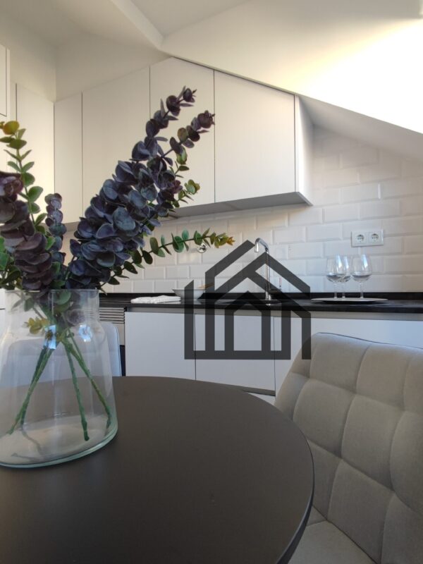 SaoVicente_T2 (31) SaoVicente_T2 (31)