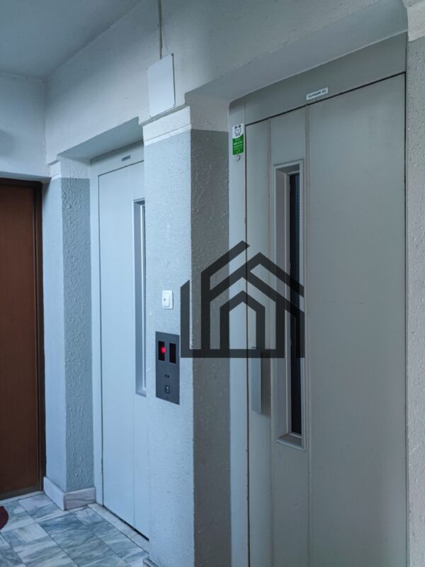 T1_Loures (4) T1_Loures (4)