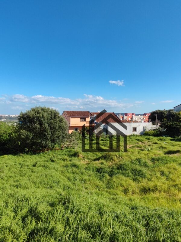 1743009315536 1743009315536