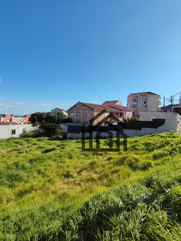 1743009315544 1743009315544