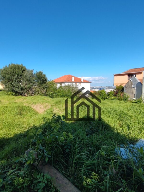 1743009315552 1743009315552