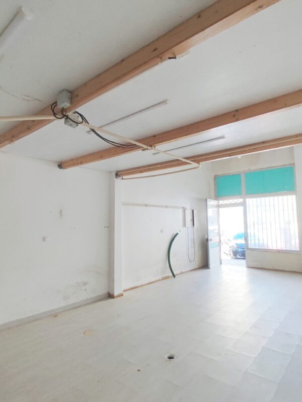 CP1204_IMGMA (1) CP1204_IMGMA (1)