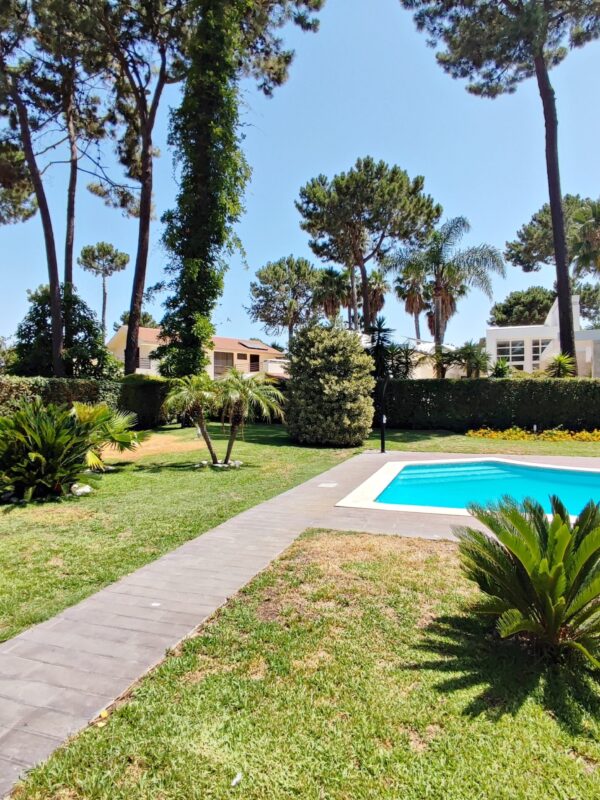 1751462835317 1751462835317