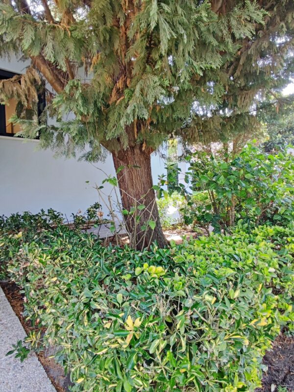 1751462835367 1751462835367