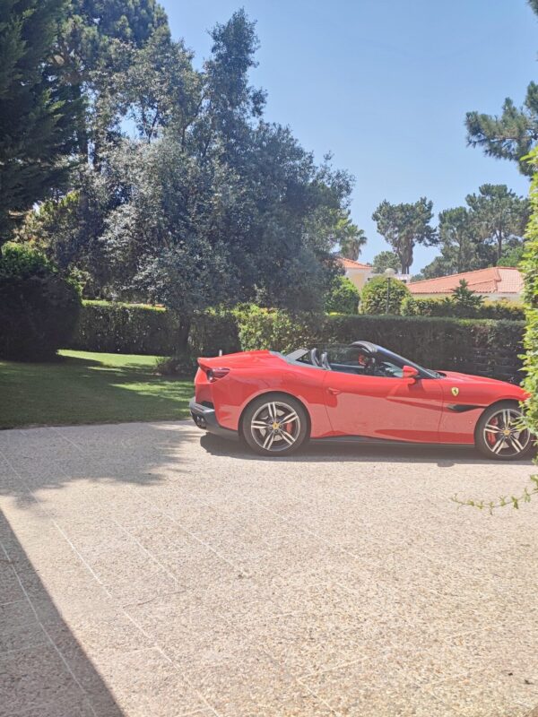 1751462835380 1751462835380