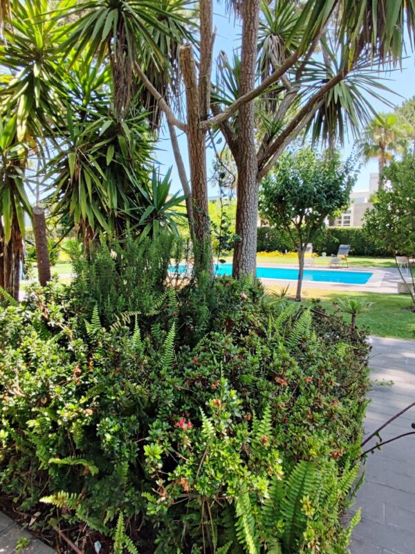 1751462835392 1751462835392