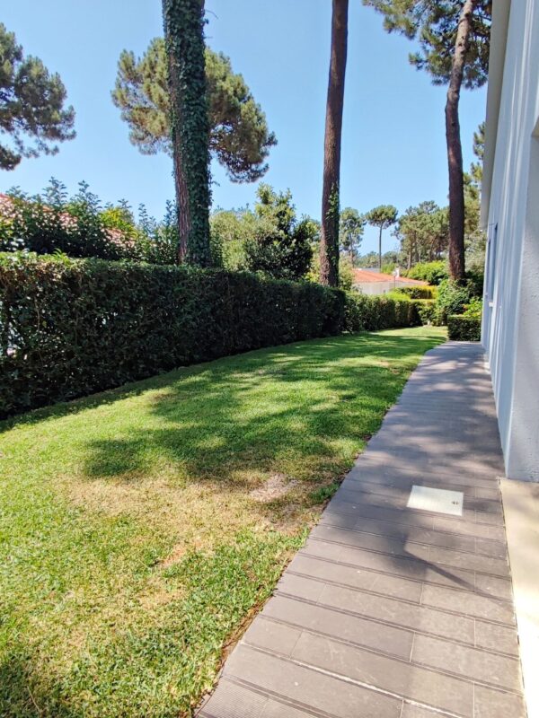 1751462835409 1751462835409