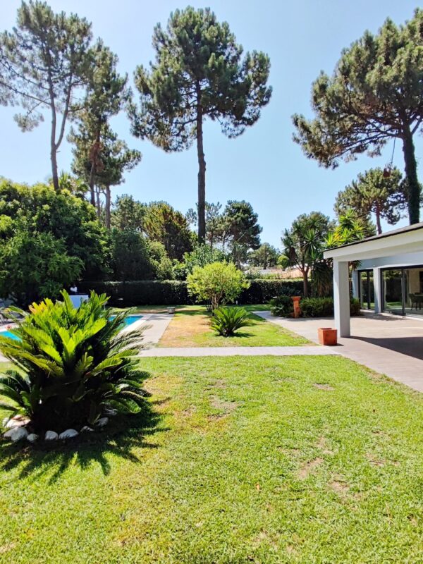 1751462835721 1751462835721