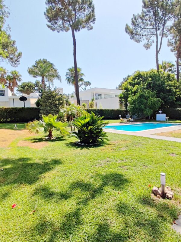 1751462835733 1751462835733