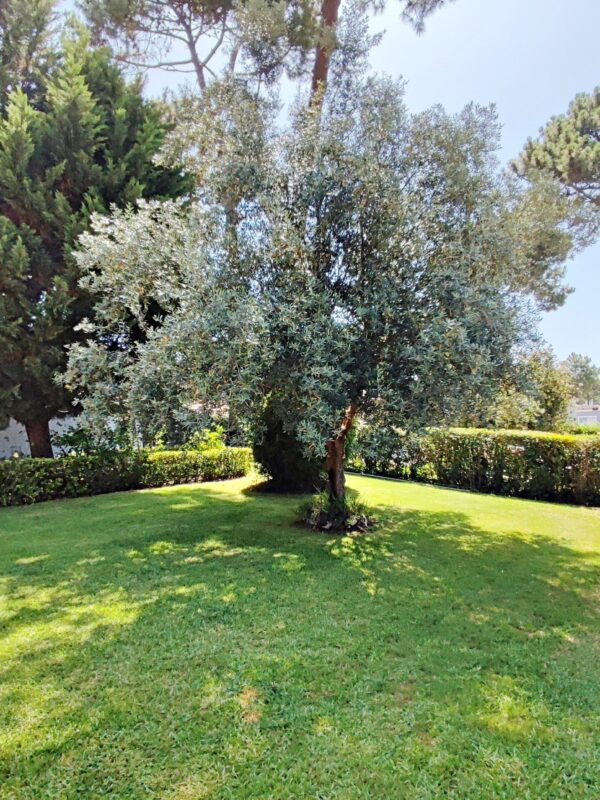 1751462835749 1751462835749