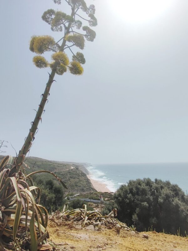 1755016838515 1755016838515