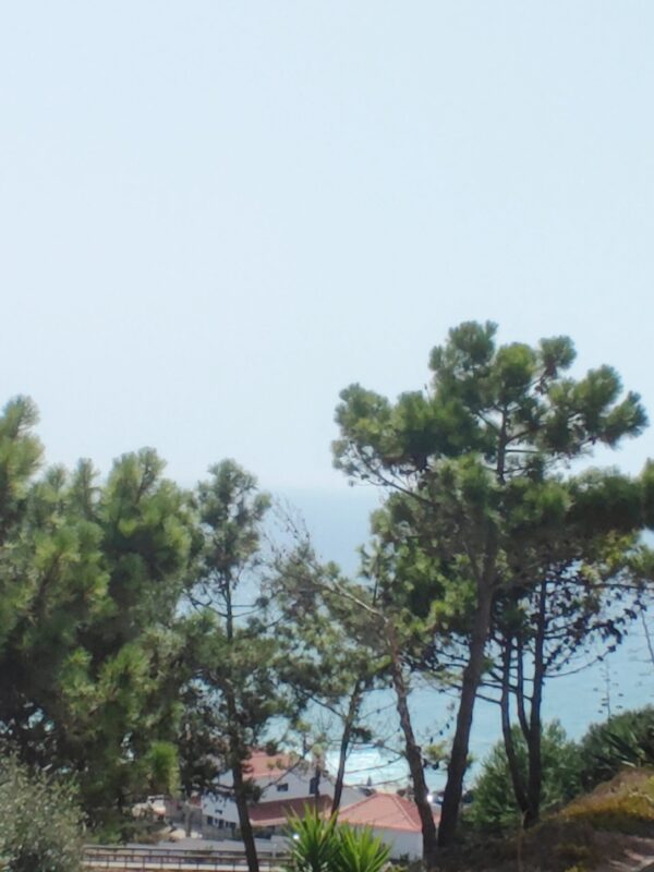 1755016838598 1755016838598