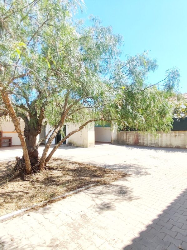 1755858169919 1755858169919