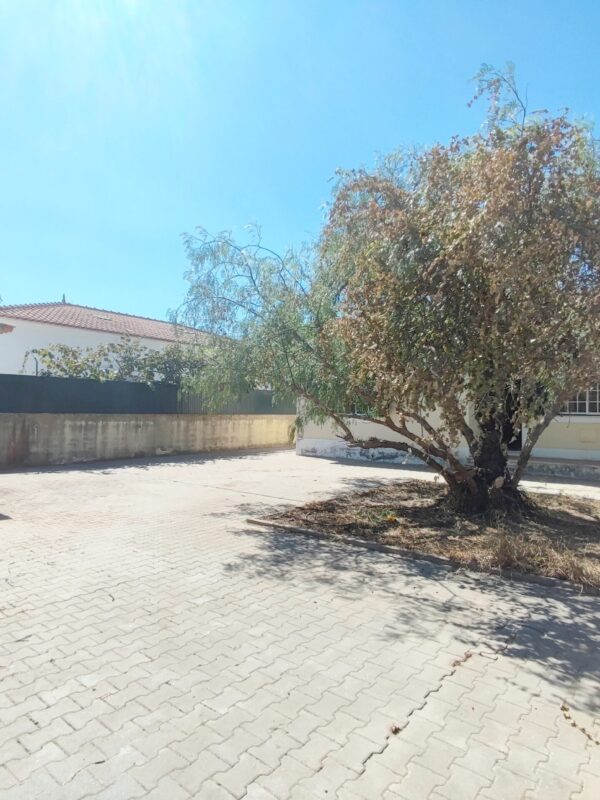 1755858170013 1755858170013