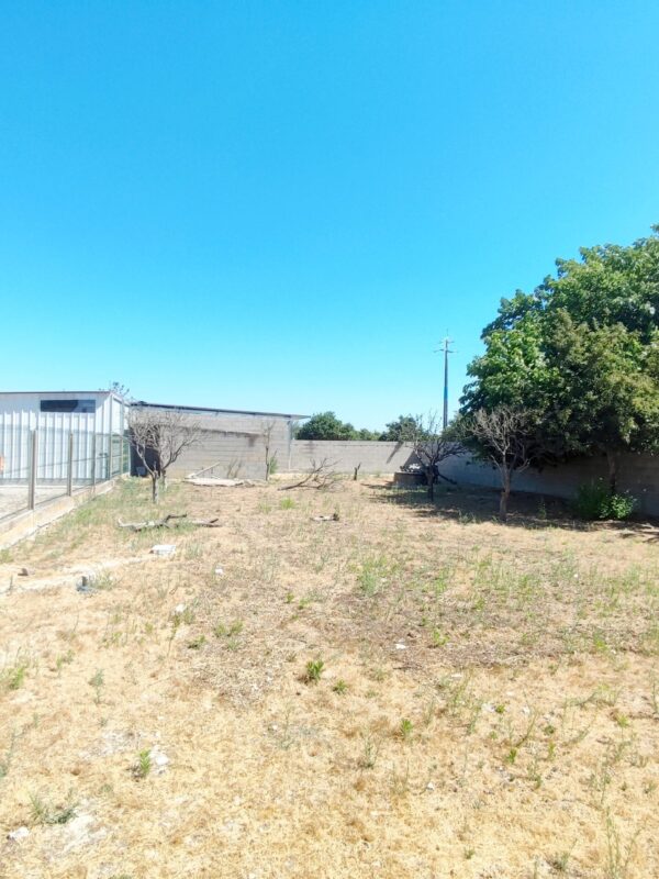 1755858170023 1755858170023