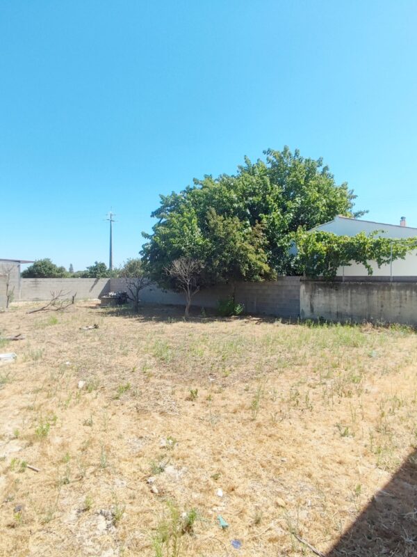 1755858170035 1755858170035