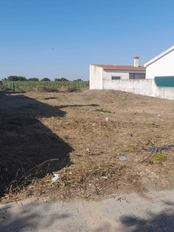 1756119250525 1756119250525