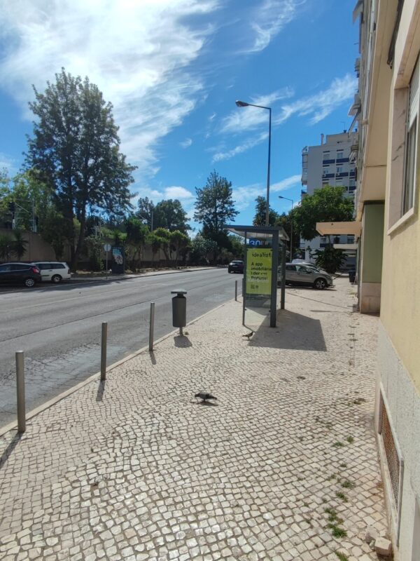 1756392680927 1756392680927