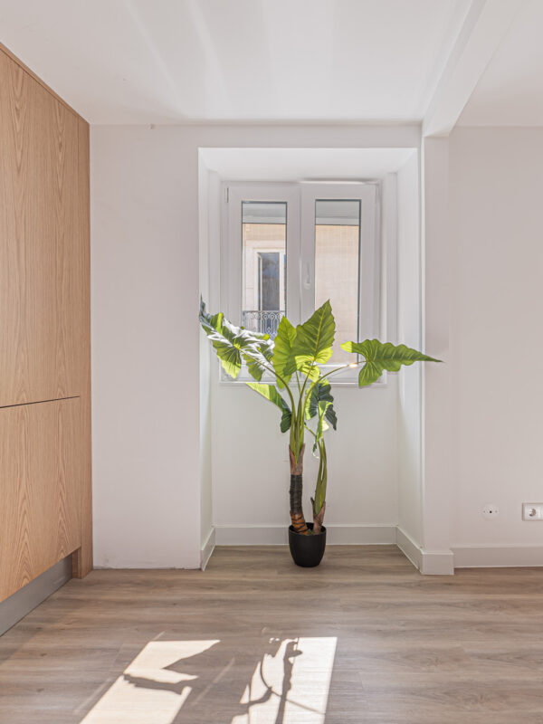 334A9929-Edit 334A9929-Edit