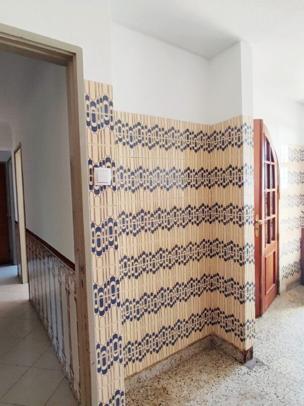 IMG-CP_1035 (14) IMG-CP_1035 (14)