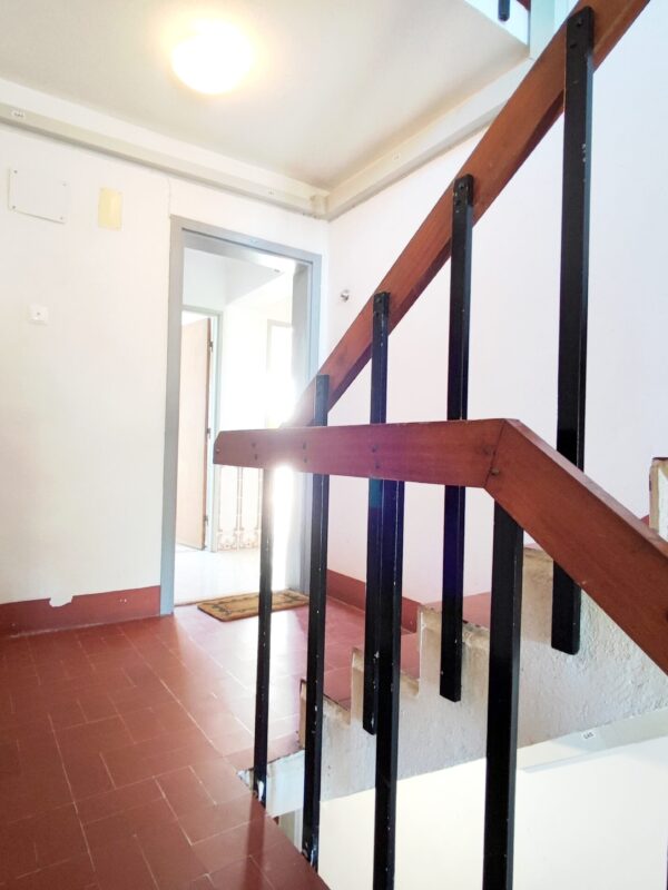 IMG-CP_1035 (28) IMG-CP_1035 (28)