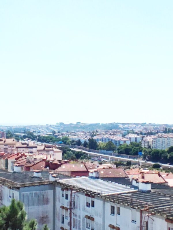 IMG-CP_1035 (6) IMG-CP_1035 (6)