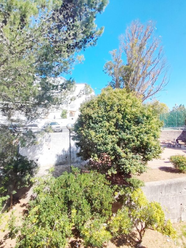 IMG-CP_1035 (8) IMG-CP_1035 (8)