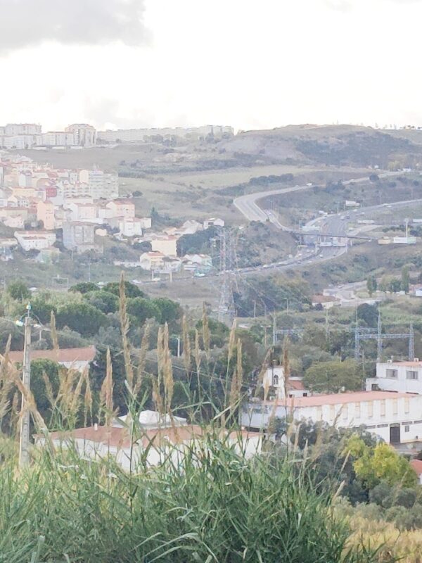 IMG-CP_1038 (2) IMG-CP_1038 (2)