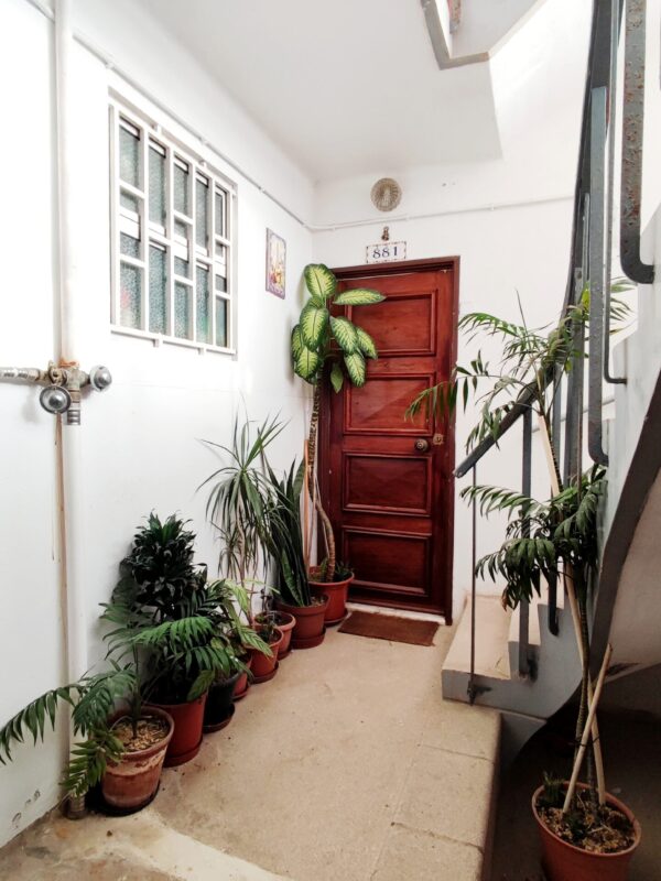 IMG-CP_1038 (4) IMG-CP_1038 (4)