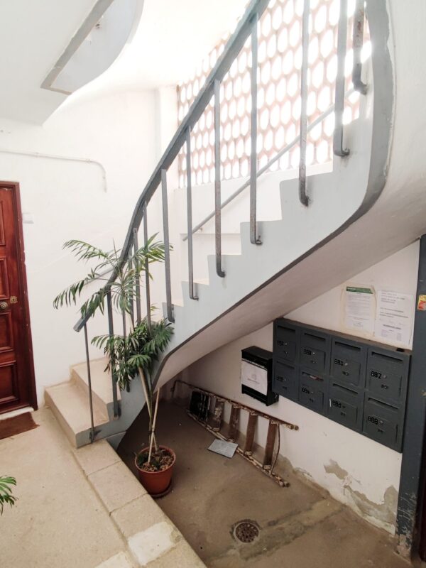 IMG-CP_1038 (5) IMG-CP_1038 (5)