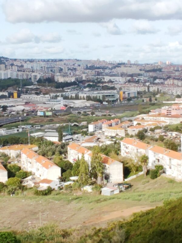 IMG-CP_1038 (7) IMG-CP_1038 (7)