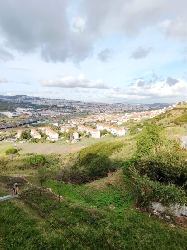 IMG-CP_1038 (8) IMG-CP_1038 (8)