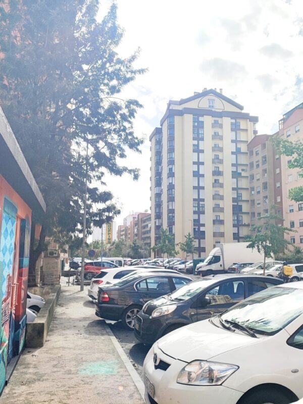 IMG-CP_1039 (3) IMG-CP_1039 (3)