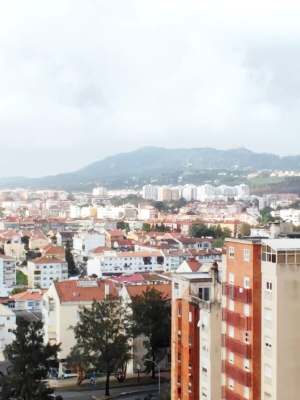 IMG-CP_1039 (8) IMG-CP_1039 (8)