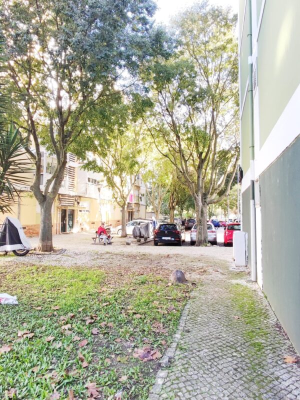 IMG-CP_1040 (1) IMG-CP_1040 (1)