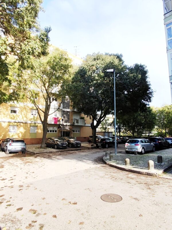 IMG-CP_1040 (22) IMG-CP_1040 (22)