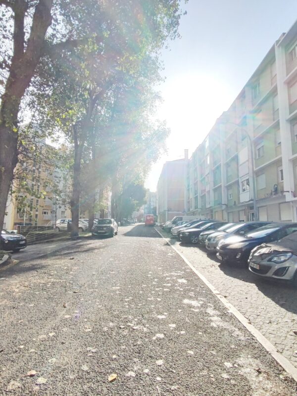 IMG-CP_1040 (23) IMG-CP_1040 (23)