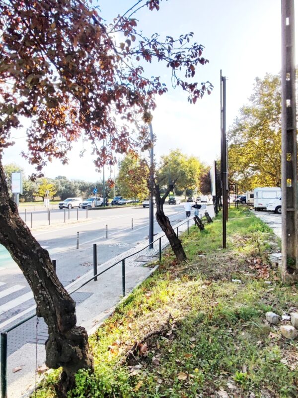 IMG-CP_1040 (5) IMG-CP_1040 (5)