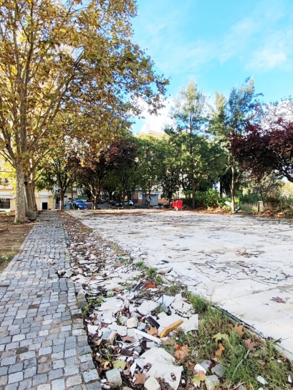 IMG-CP_1040 (7) IMG-CP_1040 (7)