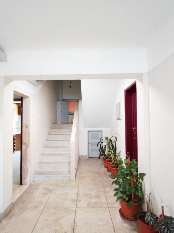 IMG-CP_1040 (8) IMG-CP_1040 (8)