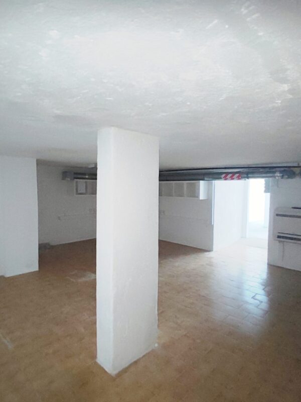 IMG-CP_1023 (1) IMG-CP_1023 (1)